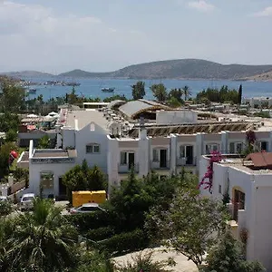 book here